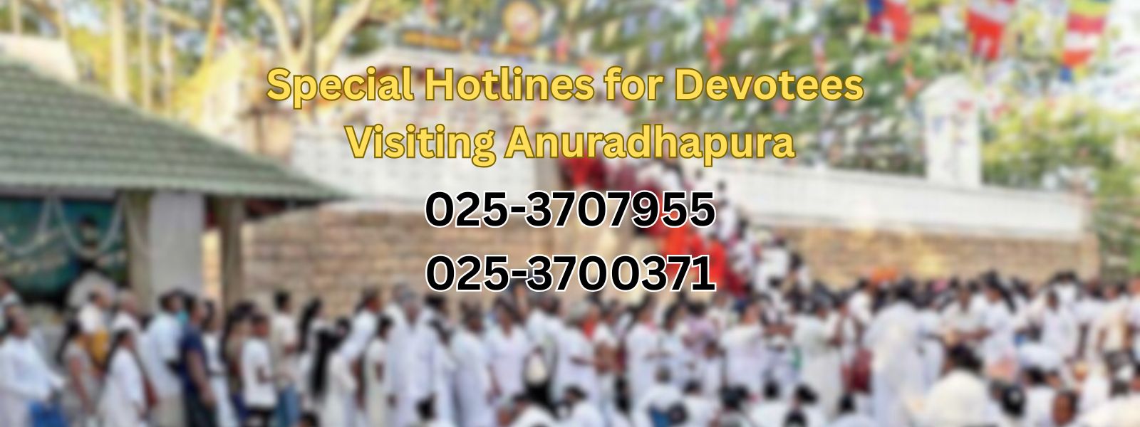 Special Hotlines Introduced for Poson Devotees